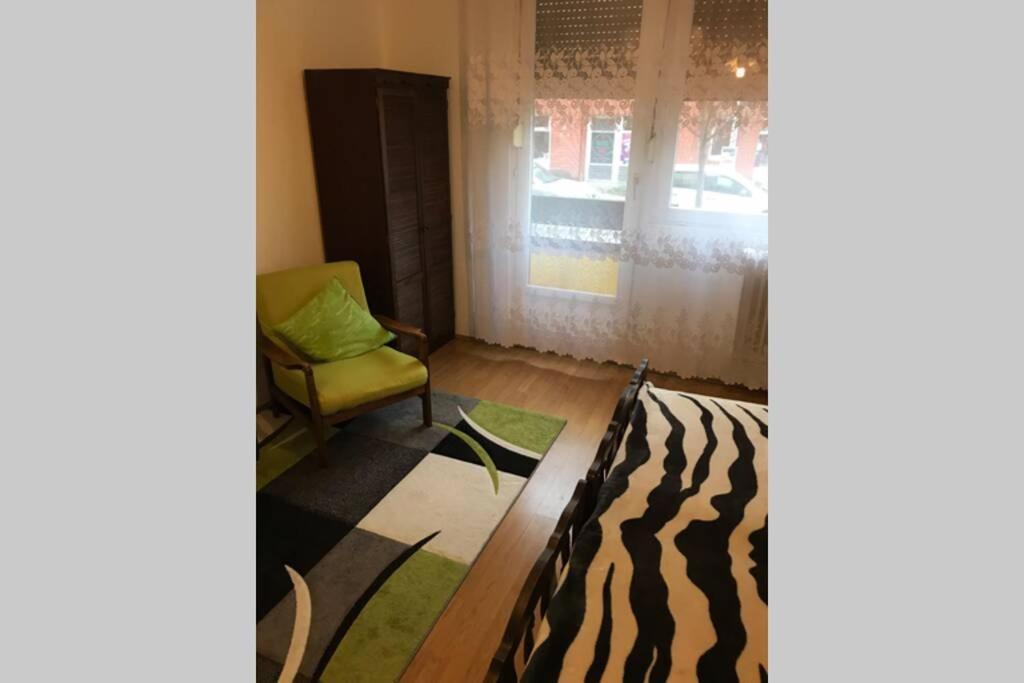 Zen Apartman Солнок Екстериор снимка
